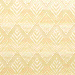 Maize
