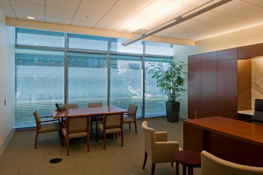 Modern office with a wooden table, chairs, and a large potted plant. Sunlight filters through blinds on expansive windows.