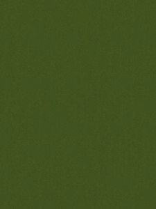 Army