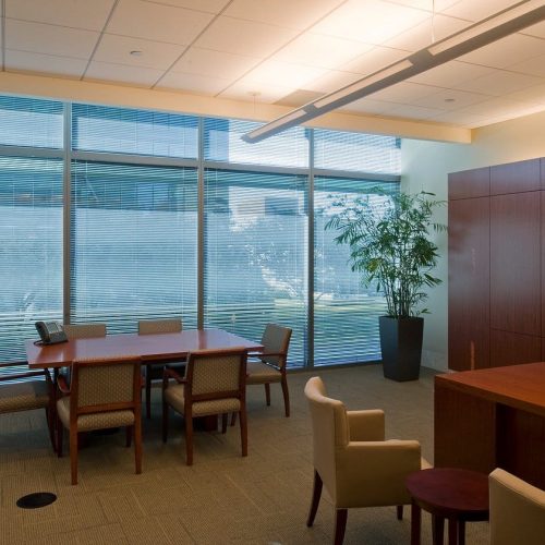 Modern office with a wooden table, chairs, and a large potted plant. Sunlight filters through blinds on expansive windows.