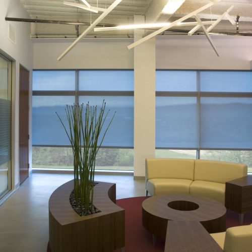 Modern office lounge with curved beige seating, circular table, and decorative grass planter. Large windows feature blue shades, offering natural light.