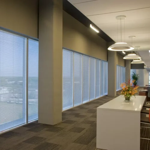 Modern office space with large windows, a row of desks, and chairs. Bright lighting and decor with flowers. No recognizable landmarks.