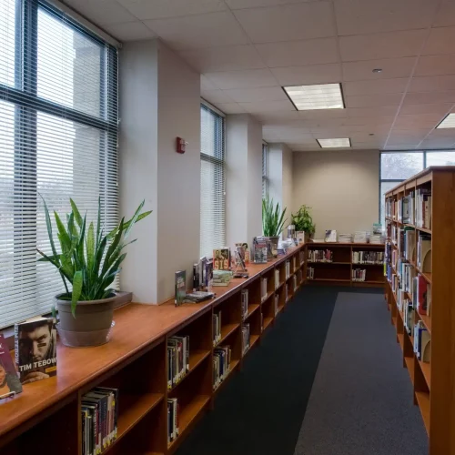 A modern library interior features bookshelves, non-fiction section, and large windows with potted plants. Brightly lit and inviting atmosphere.